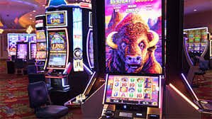 765bet app